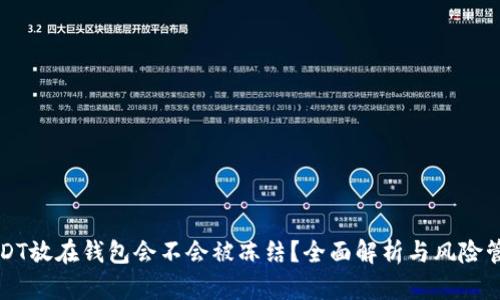 USDT放在钱包会不会被冻结？全面解析与风险管理