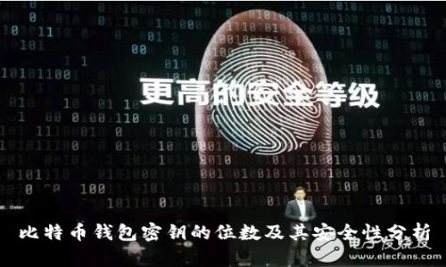 比特币钱包密钥的位数及其安全性分析