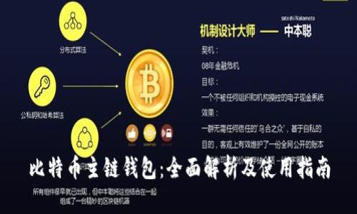 比特币主链钱包：全面解析及使用指南