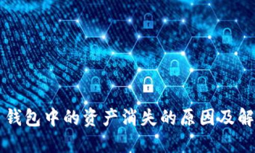 比特币钱包中的资产消失的原因及解决方法