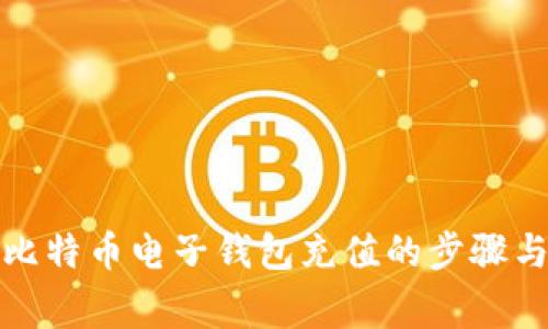 全面解析比特币电子钱包充值的步骤与注意事项