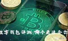 比特币数字钱包评测：哪