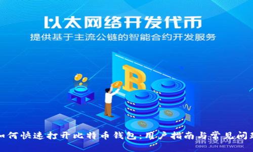 如何快速打开比特币钱包：用户指南与常见问题