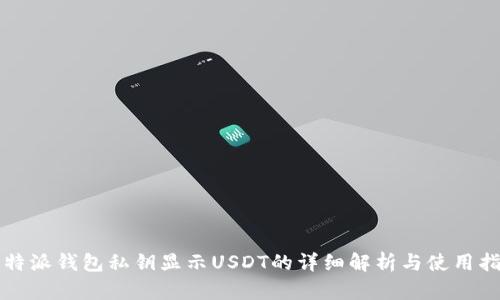 比特派钱包私钥显示USDT的详细解析与使用指南