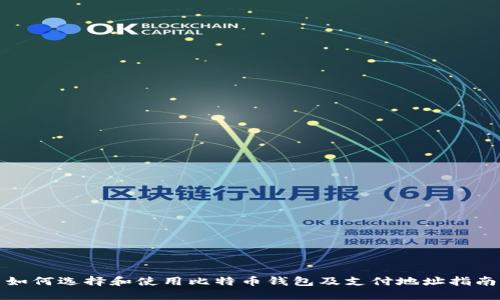 如何选择和使用比特币钱包及支付地址指南