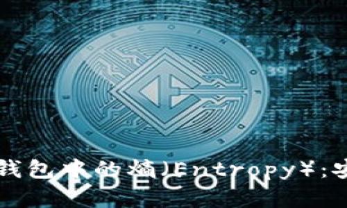 深入了解比特币钱包中的熵（Entropy）：安全性与生成方法