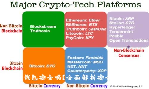 比特币冷钱包安全吗？全面解析安全性与使用指南
