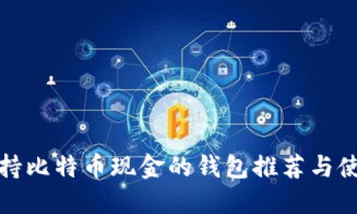 最早支持比特币现金的钱包推荐与使用指南