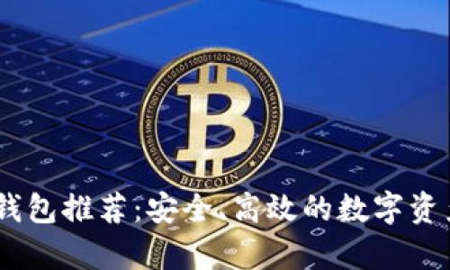 USDT主流钱包推荐：安全、高效的数字资产存储方案