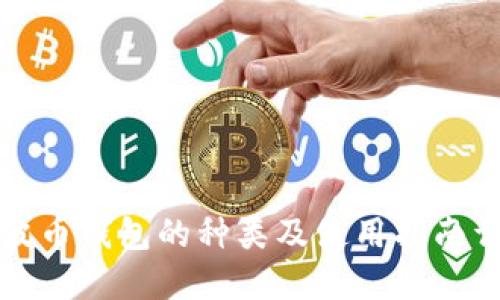 瑞波币钱包的种类及使用指南详解