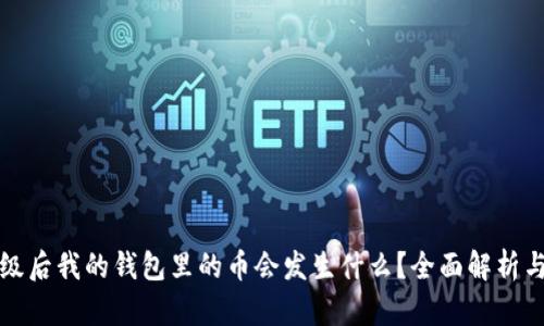 以太坊升级后我的钱包里的币会发生什么？全面解析与投资策略
