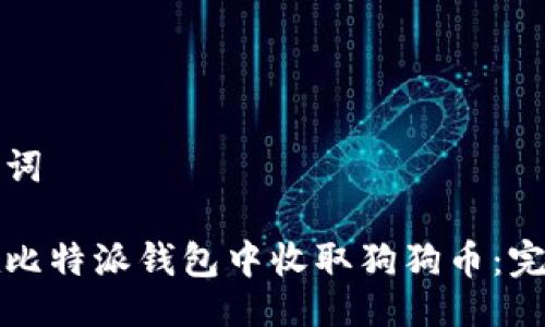 与关键词

如何在比特派钱包中收取狗狗币：完整指南