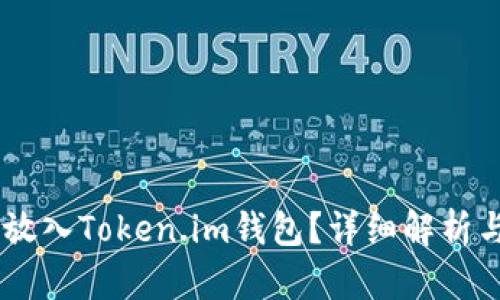 SHIB能否放入Token.im钱包？详细解析与使用指南