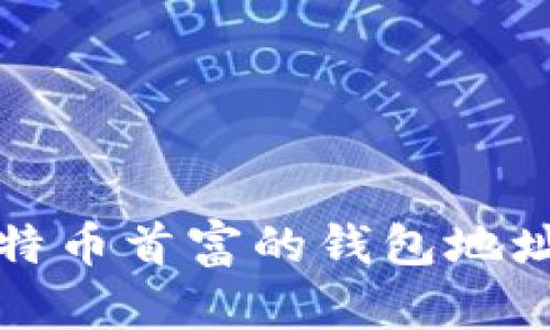 如何查找比特币首富的钱包地址及相关信息