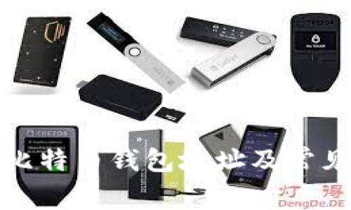 如何查询比特币钱包地址及常见问题解答