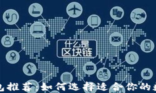 
买比特币钱包推荐：如何选择适合你的数字货币钱包