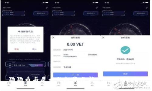 狗狗币与屎币的投资分析：钱包选择指南