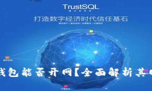 区块链Plus钱包能否开网？全面解析其网络运行机制