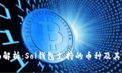 全面解析：Sol钱包支持的