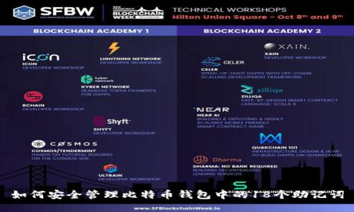如何安全管理比特币钱包中的18个助记词