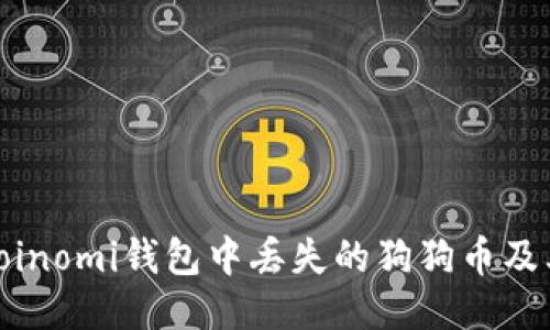 如何找回Coinomi钱包中丢失的狗狗币及其预防措施