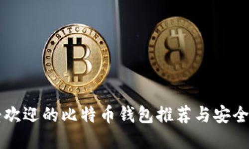 国内最受欢迎的比特币钱包推荐与安全使用指南