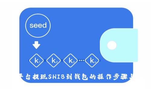 详解币安平台提现SHIB到钱包的操作步骤与注意事项