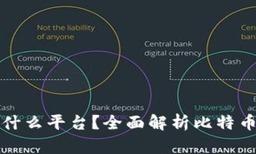 比特币接收钱包是什么平台？全面解析比特币钱包的功能与选择