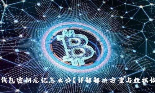 区块链钱包密钥忘记怎么办？详解解决方案与数据恢复技巧