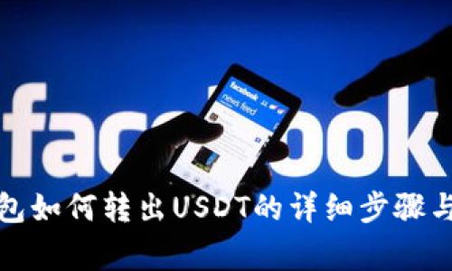 小狐狸钱包如何转出USDT的详细步骤与注意事项