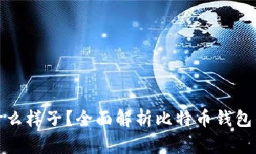 比特币钱包是什么样子？全面解析比特币钱包的功能与安全性