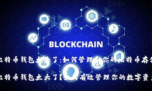 比特币钱包太大了：如何管理和你的比特币存储

比特币钱包太大了？如何有效管理你的数字资产
