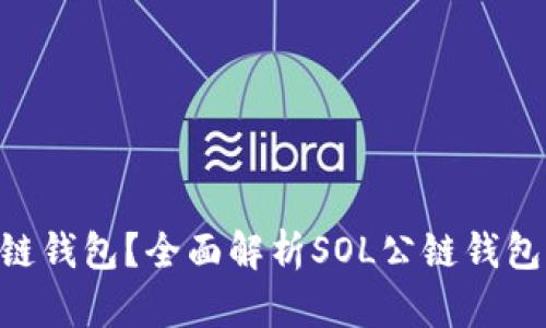 什么是SOL公链钱包？全面解析SOL公链钱包的功能与应用