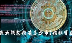 比特币最大钱包持有多少