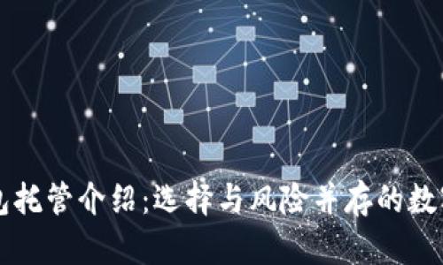 以太坊钱包托管介绍：选择与风险并存的数字资产管理