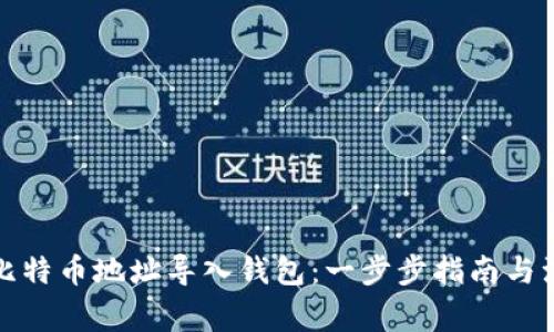 如何将比特币地址导入钱包：一步步指南与注意事项