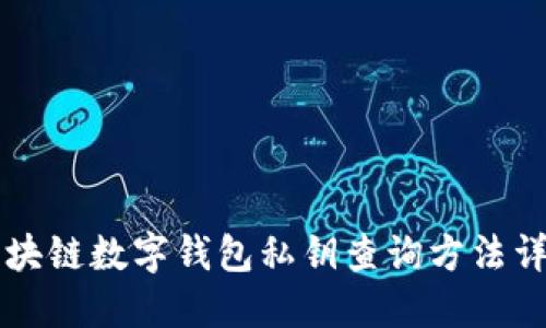 区块链数字钱包私钥查询方法详解