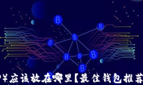 
瑞波币（XRP）应该放在哪里？最佳钱包推荐与安全指南