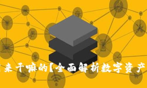 区块链钱包是用来干嘛的？全面解析数字资产存储与管理工具