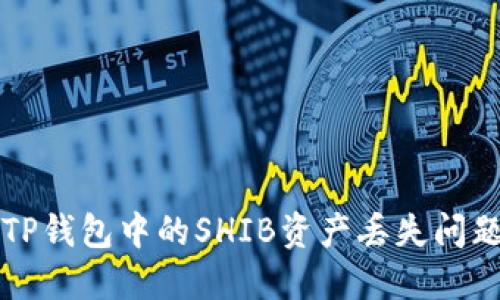 如何找回TP钱包中的SHIB资产丢失问题解决指南