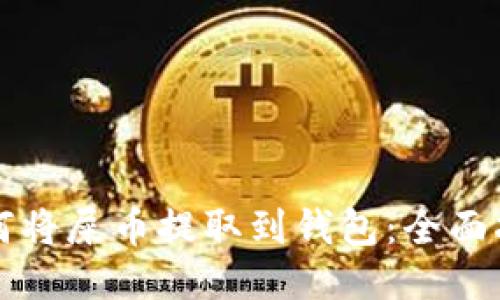 如何将屎币提取到钱包：全面指南
