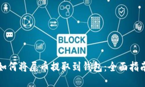 如何将屎币提取到钱包：全面指南