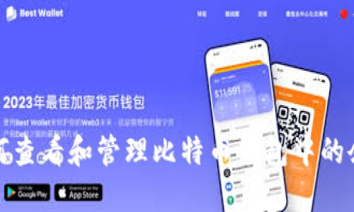 如何查看和管理比特币钱包中的余额