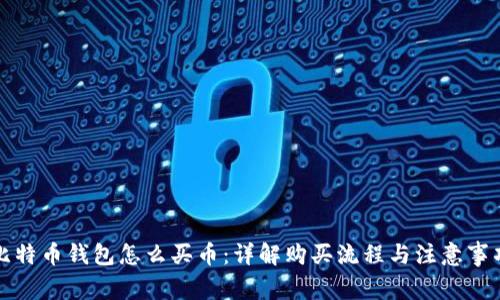 比特币钱包怎么买币：详解购买流程与注意事项