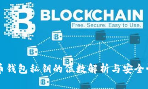 比特币钱包私钥的位数解析与安全性分析