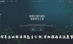 如何导出比特币钱包主公