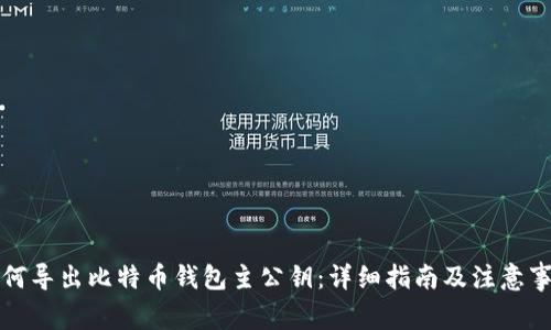 如何导出比特币钱包主公钥：详细指南及注意事项