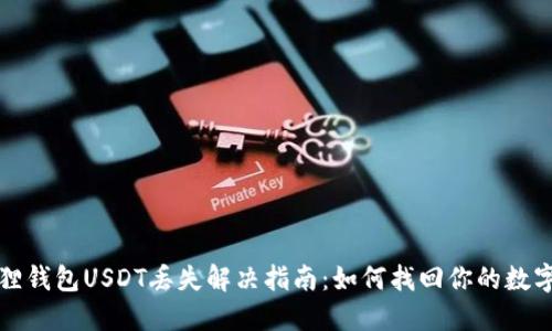 小狐狸钱包USDT丢失解决指南：如何找回你的数字资产