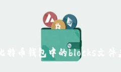 深入了解比特币钱包中的