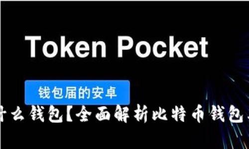 比特币一般用什么钱包？全面解析比特币钱包类型与选择指南